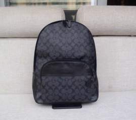 Picture of Coach Handbags _SKUfw240286330fw